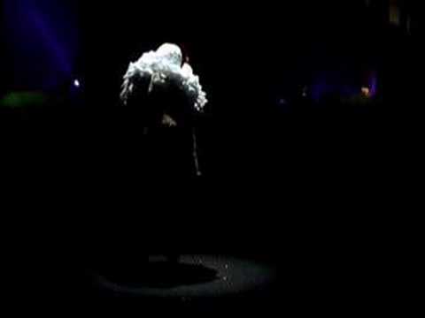 desfile de roberto diz (animalario)