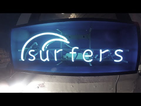 DYGL - All I Want (Live)