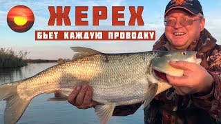 Все о рыбалка на средней волге в октябре