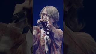 - syudou Live Tour 2025「運否天賦」先行受付中!「マイマイノリティ」 - syudou Live 2025「美学」 #ライブ映像 #武道館