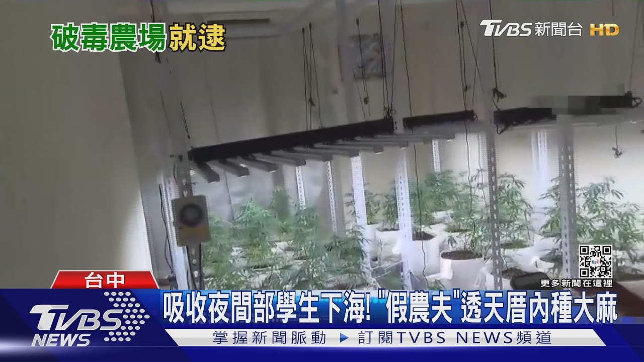 吸收夜間部學生下海！　「假農夫」透天厝內種大麻