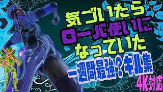 【Apex】気づいたらローバ使いになっていた1週間最強?kill集！4K