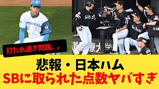 ⚾ 2026年日本プロ野球ハイライト｜クラッチプレーと勝利の瞬間