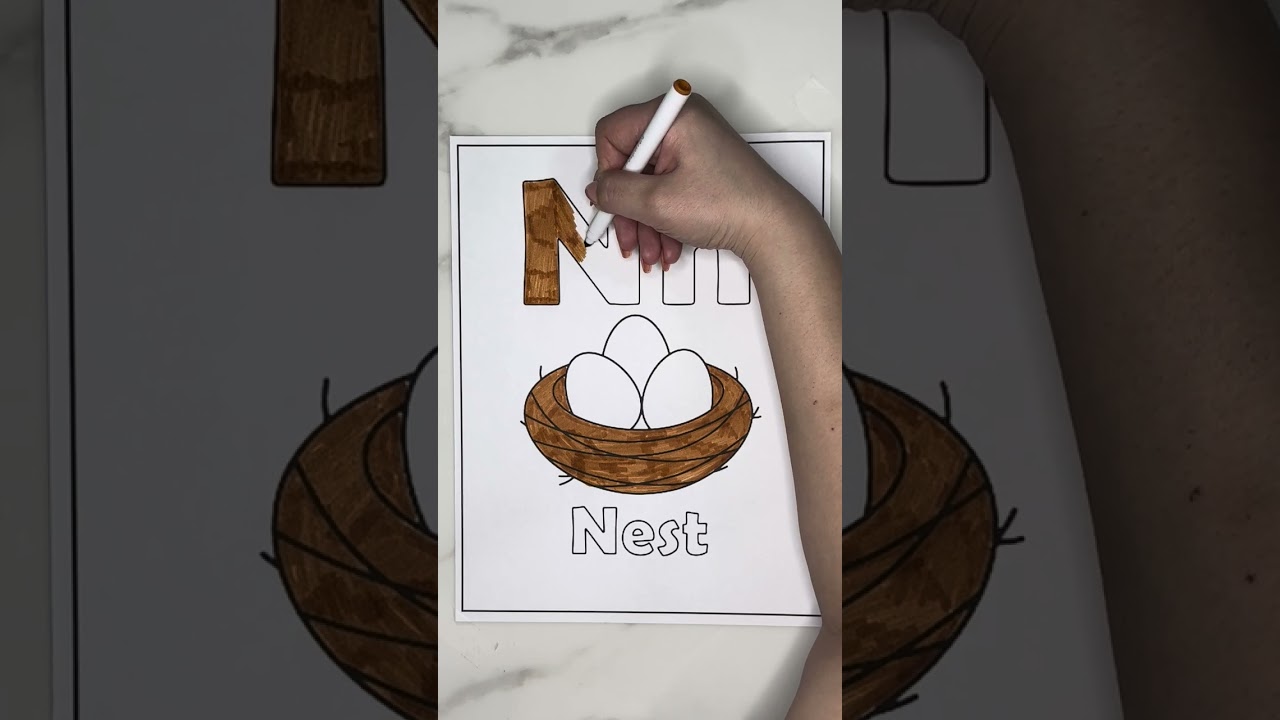 “Letter N Coloring Page – Nest Theme | Fun & Creative Alphabet Coloring”
