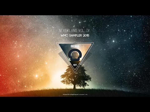 DEEP HOUSE _ Deepologic: Traveling In Fog (Original Mix)