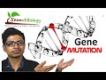 Genetic mutation | gene mutation