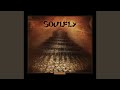 Soulfly VI