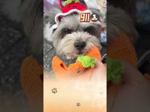 Vừa đáng yêu, vừa biết bán hàng cho ba nữa 😚