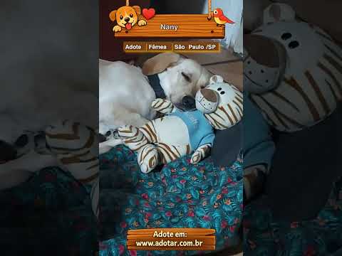 Vídeo de Nany