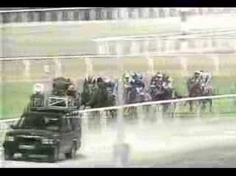 Stay Gold in Dubai Sheema Classic 2001