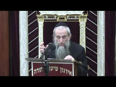 Summary: Hot Plate, Warming Drawer Etc. On Shabbos - Rabbi Yakov Zev Smith