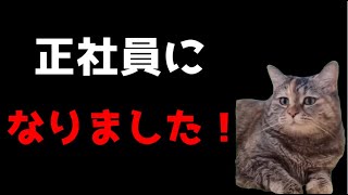 【猫ミーム】遂に、正社員として働く事に！！葬儀社にアルバイトとして勤めていたお話その60