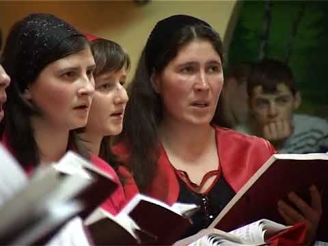 O, IZVOR AL FERICIRII // Corul Mixt LUNCUSOARA - dirijor Petrica Moisuc