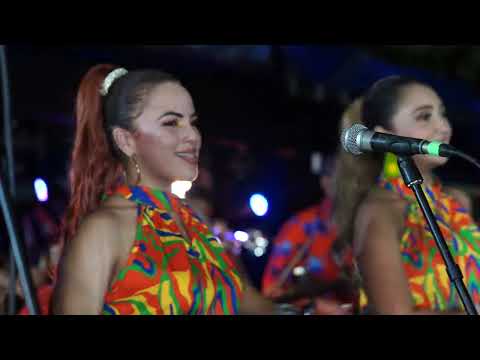 El Machin  Juan Piña en vivo