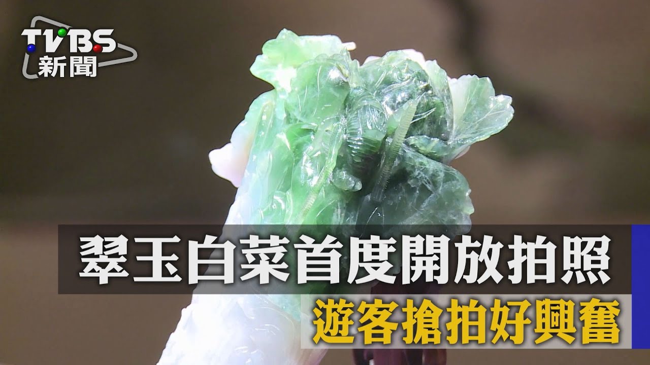 翠玉白菜首度開放拍照 遊客搶拍好興奮