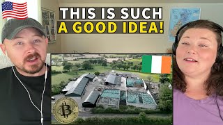 Americans React: How Irish Farmers Convert Cow Dung into Digital Gold (Bitcoin)