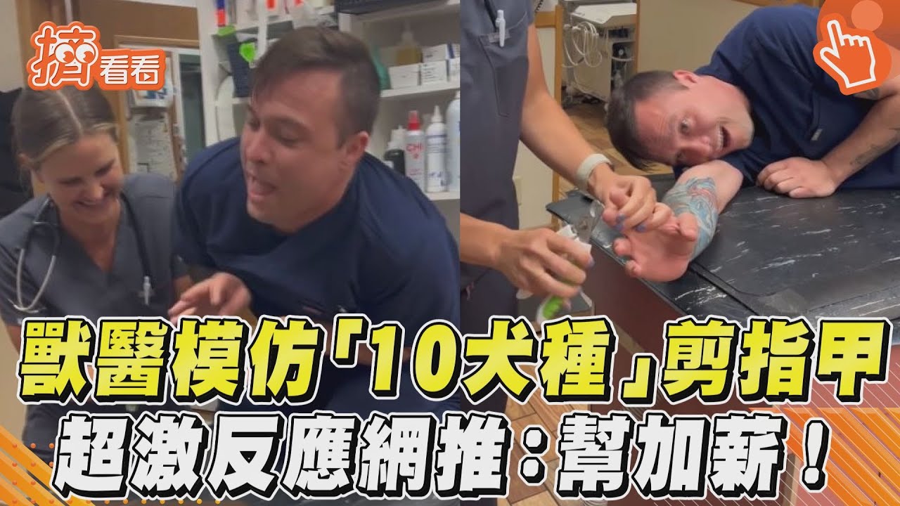 影音／獸醫模仿「10犬種」剪指甲　超激反應網推：幫加薪！