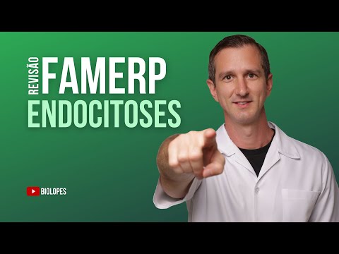 #famerp 2022 - O processo de endocitose representado na figura e o tipo de célula que é capaz de