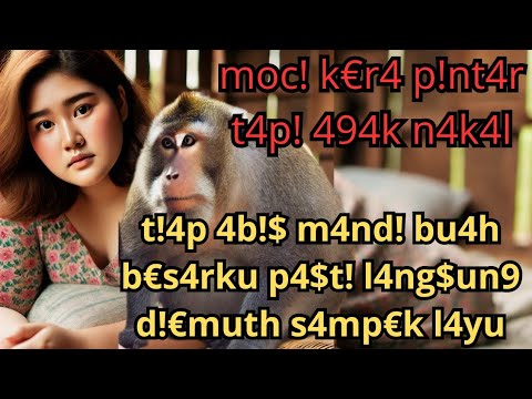 Moci Kera yang Pintar Banget #kisahnyata