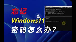 Windows11 系统登录密码忘记了怎么办？8分钟教你快速找回，无需重装系统！