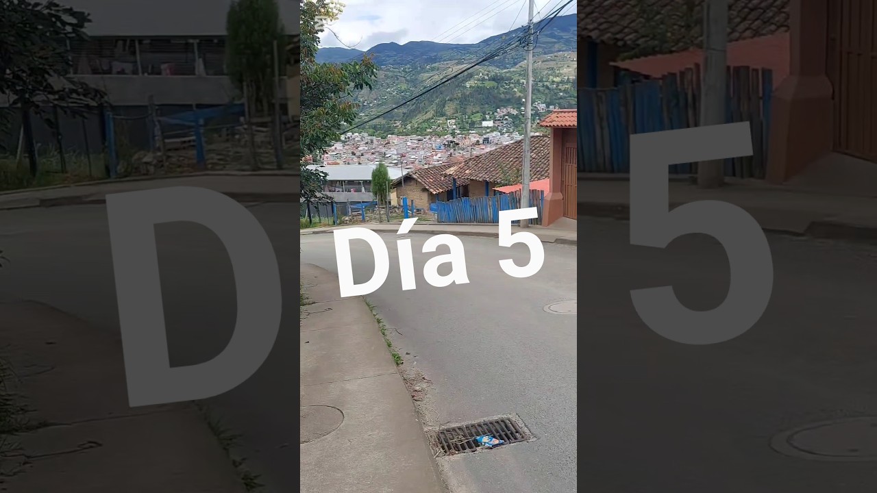 Día 5 robando cartón por el s26U #reciclaje #s26ultra #humor