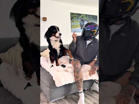 did he just mock me?? 😬 w/speed_with_pete