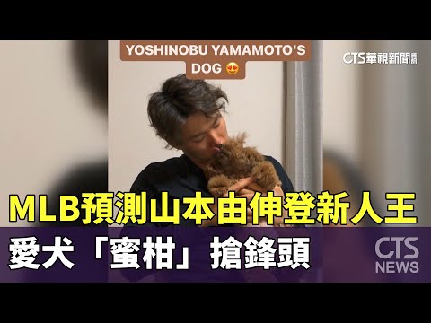 MLB官網預測山本由伸登新人王　愛犬「蜜柑」搶鋒頭