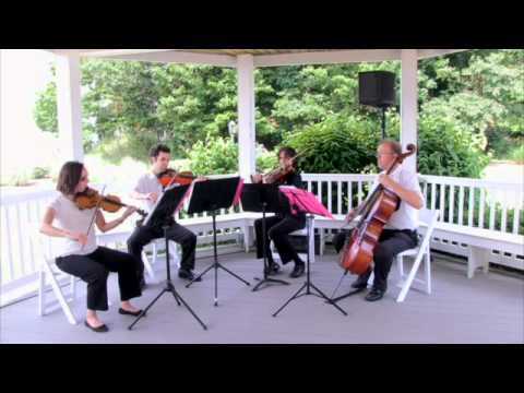 Promotional video thumbnail 1 for Heritage Hill String Quartet