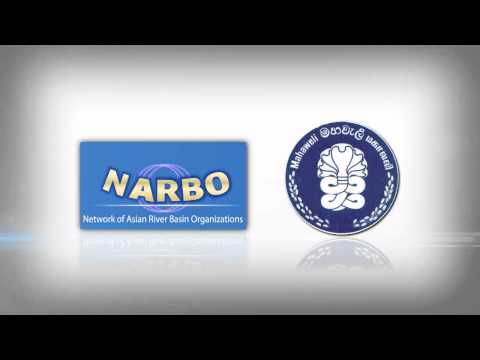 NARBO TRANSISITION