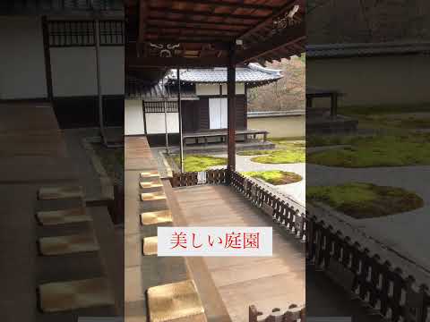 jardin-suspendu-pots-fleurs-mousse-ficelle-jaune