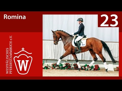 23 Romina Stute v. Rock Forever I - Florestan I