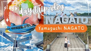 【旅行vlog】山口県長門市 青海島観光船 🚢 道の駅センザキッチン 船観光最高！！日帰りvlog