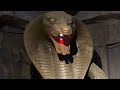Snake Vasuki King Of Snake Nagraj Shiva Snake Hindu Snake God Bholenath Shorts