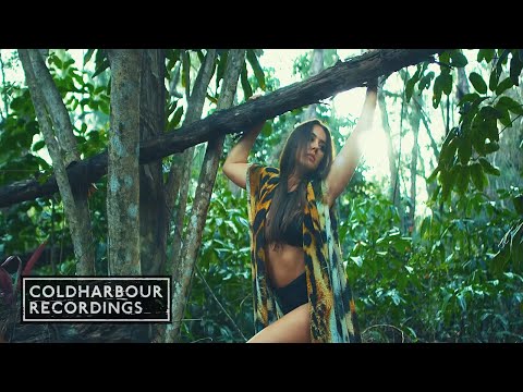 Andy Moor & Adina Butar - Wild Dream | Official Music Video