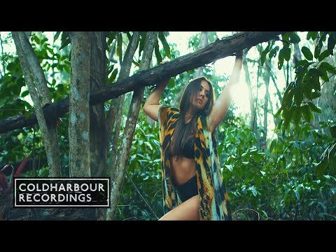 Video thumbnail for Wild Dream (Extended Mix)