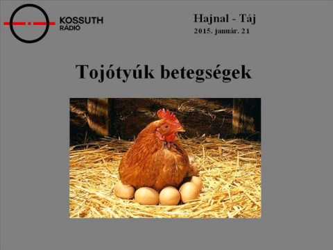 ízületek fájnak egy vesében