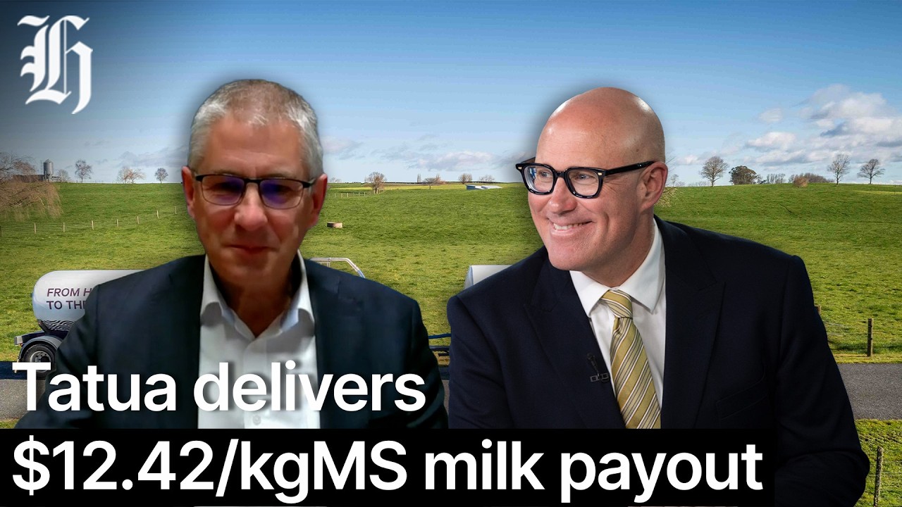 Tatua delivers $12.42/kgMS milk payout | Herald NOW Business