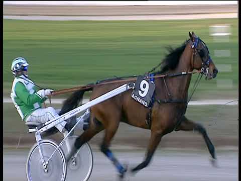 Trotto 07/12/2018 - 3ª corsa