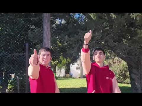 La bananipromo del Arbolito
