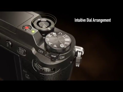 Panasonic LUMIX GX85 Mirrorless Camera with 12-32mm and 45-150mm Lenses (Black) Holiday Bundle