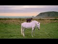 Divertido Comercial: Una cabra montando a caballo