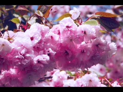 Vinci - Artaserse - Non temer ch'io mai ti dica (Yuriy Mynenko)