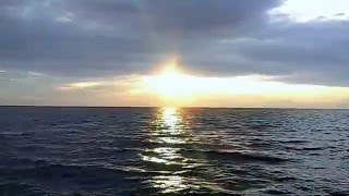 The Only Face - Bryan Ferry Jazz Orchestra(Played for the sunset)