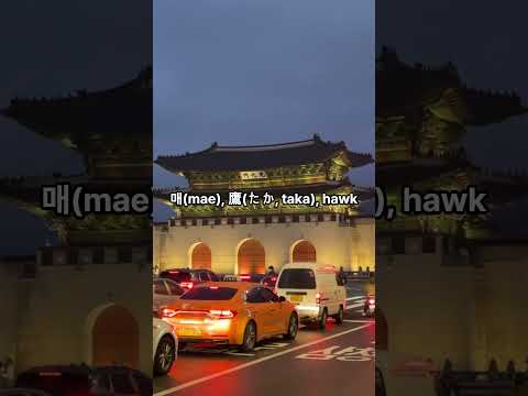 비슷하게 들리는 한국어 일본어5 聞いてみると似てるように聞こえる韓国語日本語5同じ意味ではない#한국사람#일본사람 #日本語 #한국어발음