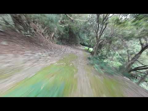 兵庫県洲本市　鮎屋ダム　通行止め外周路　酷道　険道　林道　淡路島