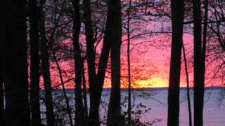 Me and the Eagle by Steve Earle