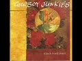 Cowboy Junkies  ~ Winter's Song