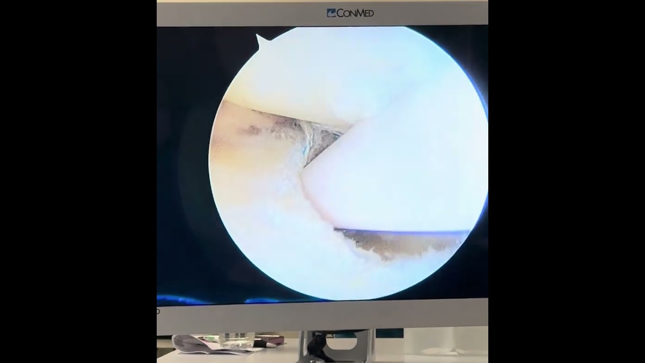 Rafael De Luca De Lucena-5