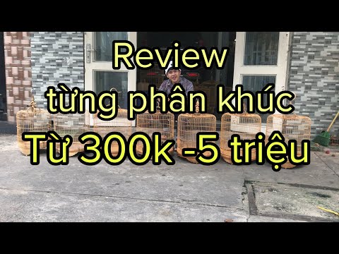 PHÂN BIỆT LỒNG TRE GIÀ TRE NON