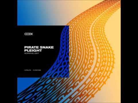 Pirate Snake, Pleight - Morning Light (Original Mix) [CODEX RECORDINGS]